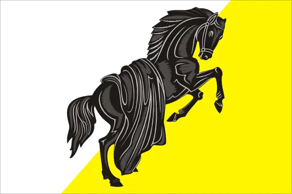 Флаг: Каслинский район